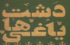 مسابقه کتابخوانی براساس کتاب دشت یاغی ها
