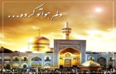 مسابقه کتابخوانی نشانی بهشت (به مناسبت شهادت امام رضا (ع))