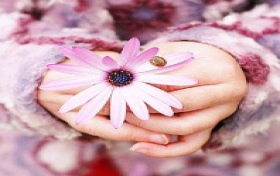 مسابقه گل شناسی