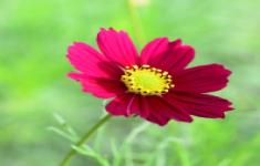 مسابقه اطلاعات عمومی رنگ در طبیعت و زمین