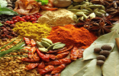 مسابقه اطلاعات داروی گیاهان