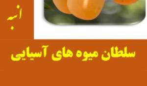 انبه سلطان میوه های اسیایی
