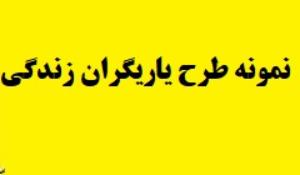 نمونه طرح یاریگران زندگی
