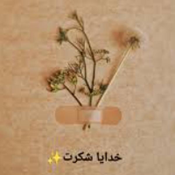 دلنوشته یکی از کاربران یارکتاب